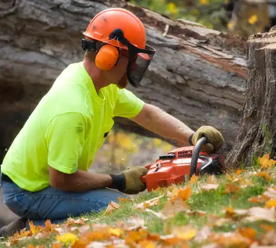 tree services Turpin Hills